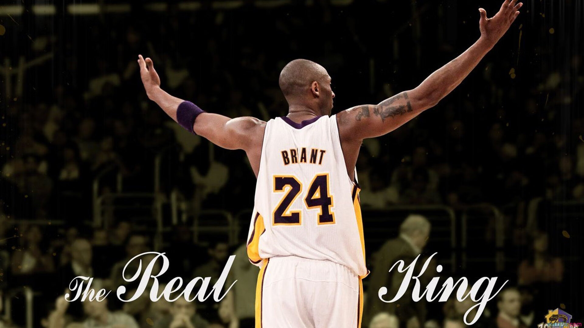 国家体育总局发布新政策，推动全民健身与竞技体育协同发展